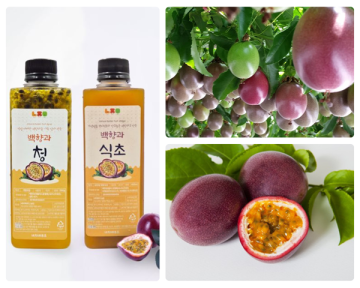 정성가득 건강한 선물 네자매푸드 백향과청, 백향과식초