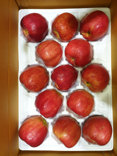 예가정성 사과 3kg
