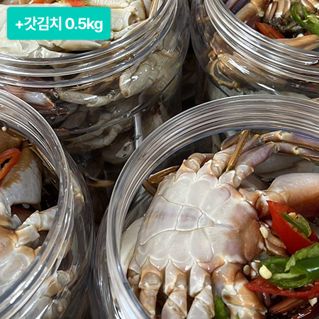 [설특선] 국산 돌게장 2.5kg+갓김치 500g *500개 한정