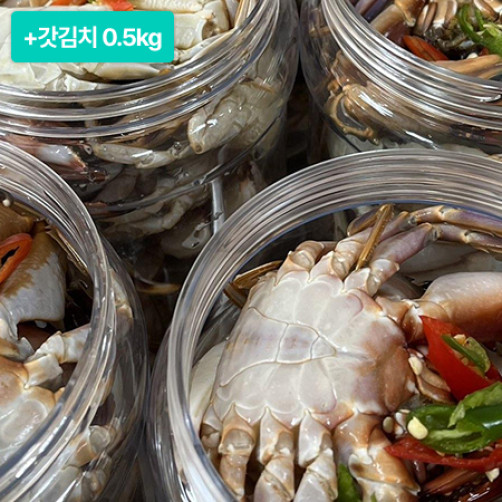[설특선] 국산 돌게장 2.5kg+갓김치 500g *500개 한정