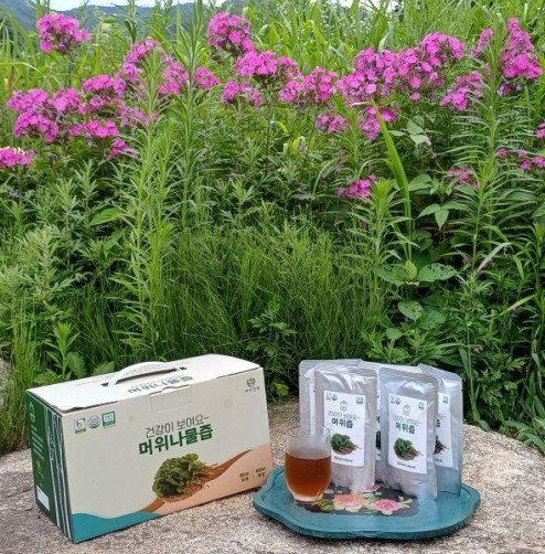 항암치료약초 머위나물즙 2500ml(100ml*25포)