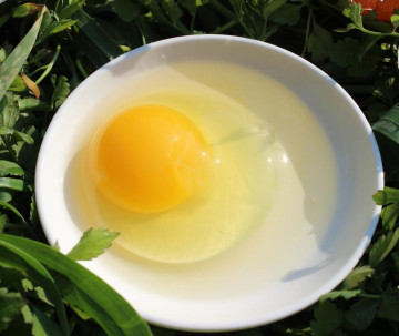 무항생제 당일 낳은 신선한 특란 60구