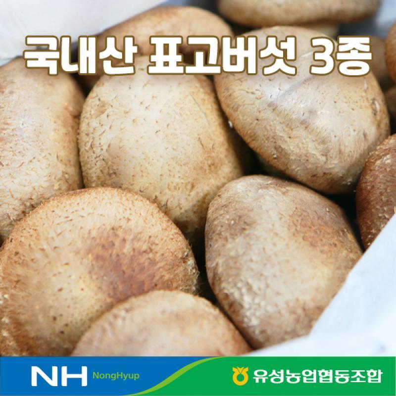 국내산 표고버섯 3종세트(생표고, 건표고깍두기, 슬라이스, 목이버섯, 버섯가루 중 택 1)