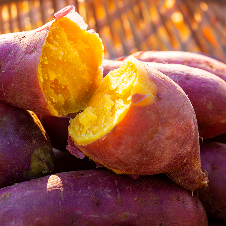 삼기농협 날씬이 고구마 햇호박밤고구마 10kg