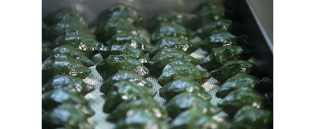 국내산 쫄깃한 모시송편 1박스 2.5kg(30개입) 