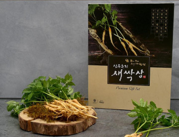 삼무루지 새싹인삼 50뿌리
