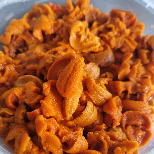 산지직송 당일 해녀채취 자연산 말똥성게 100g