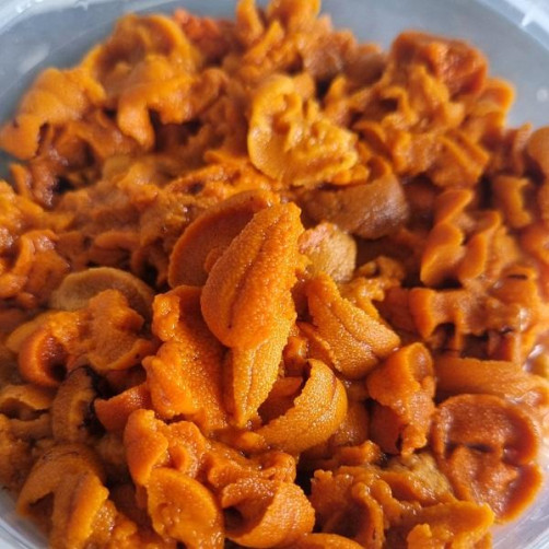 산지직송 당일 해녀채취 자연산 말똥성게 100g