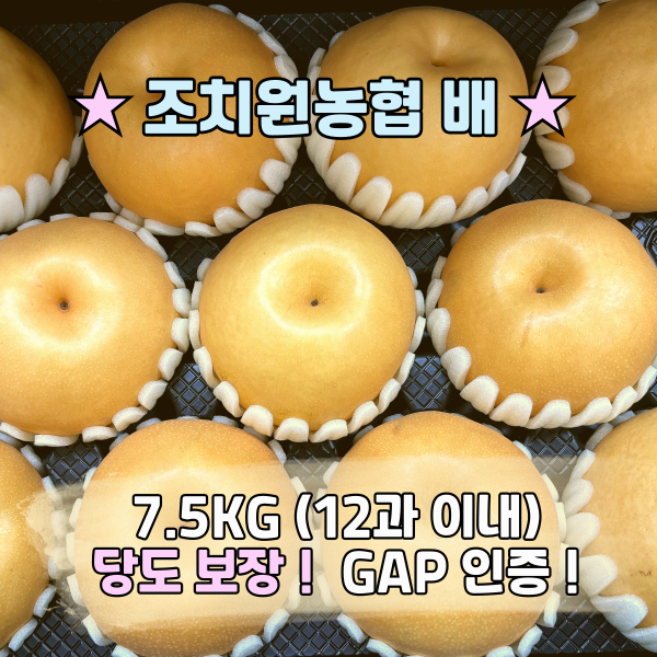 조치원농협 배 7.5kg(12과 이내)