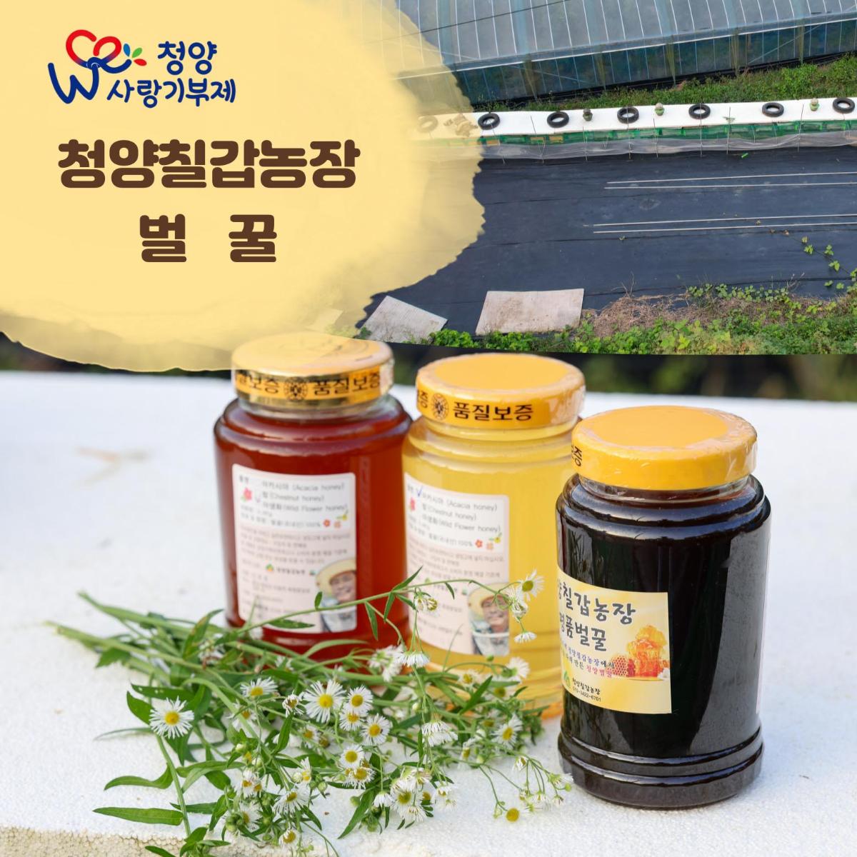 청양칠갑 벌꿀 1.2 kg