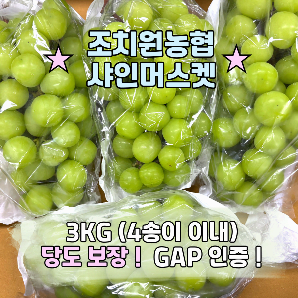 조치원농협 샤인머스켓 3kg(4송이 이내)