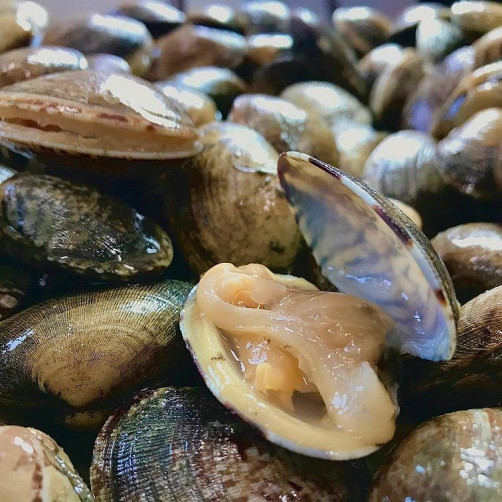 청정 해역 남해 바다에서 자란 깐 바지락 세트 900g(300g*3팩)