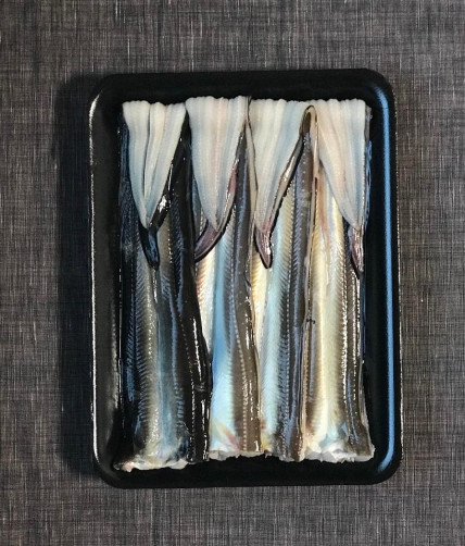 국내산 자연산 구이용 바다장어 600~650g+수제 양념 300g