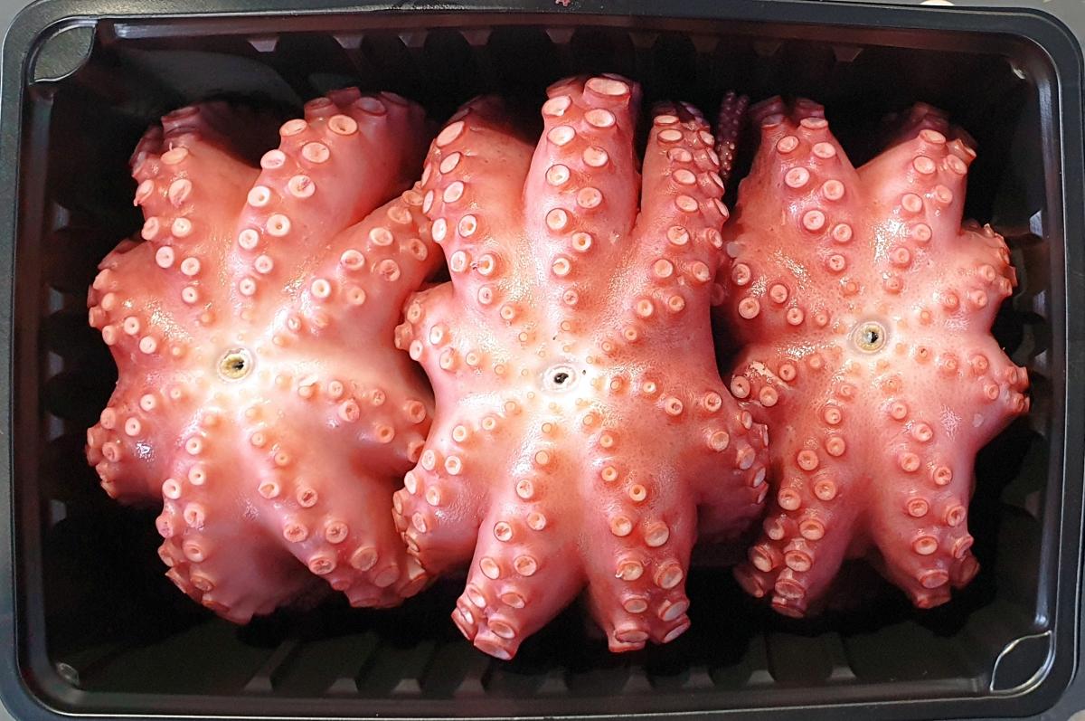 해녀가 삶아주는 자숙 돌문어 1kg(1-3미)