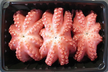 해녀가 삶아주는 자숙 돌문어 1kg(1-3미)