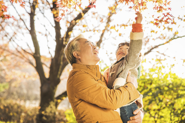 시민 건강을 위한 녹색 인프라 , 보령중앙공원 조성 프로젝트
