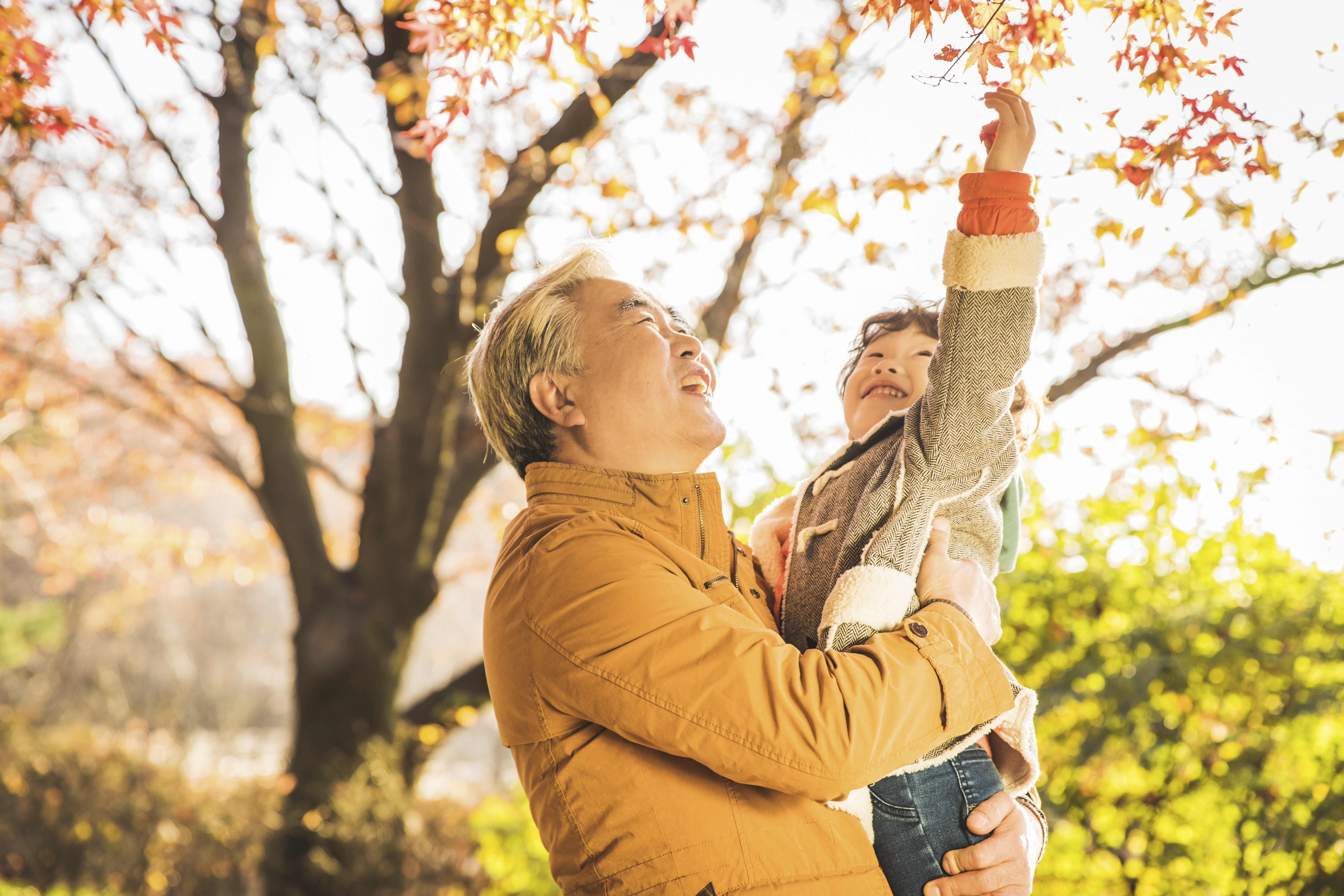 시민 건강을 위한 녹색 인프라 , 보령중앙공원 조성 프로젝트