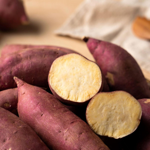 해남 25년 햇 꿀 밤 고구마 10kg