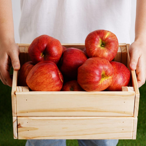 무주 반딧불 부사 3kg(12과)