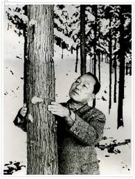 전남 장성군 숲 만들기 프로젝트