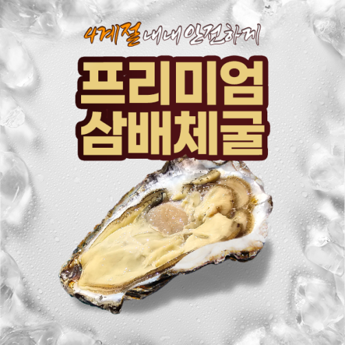 산지직송 국내산 삼배체굴 4kg/6.5kg