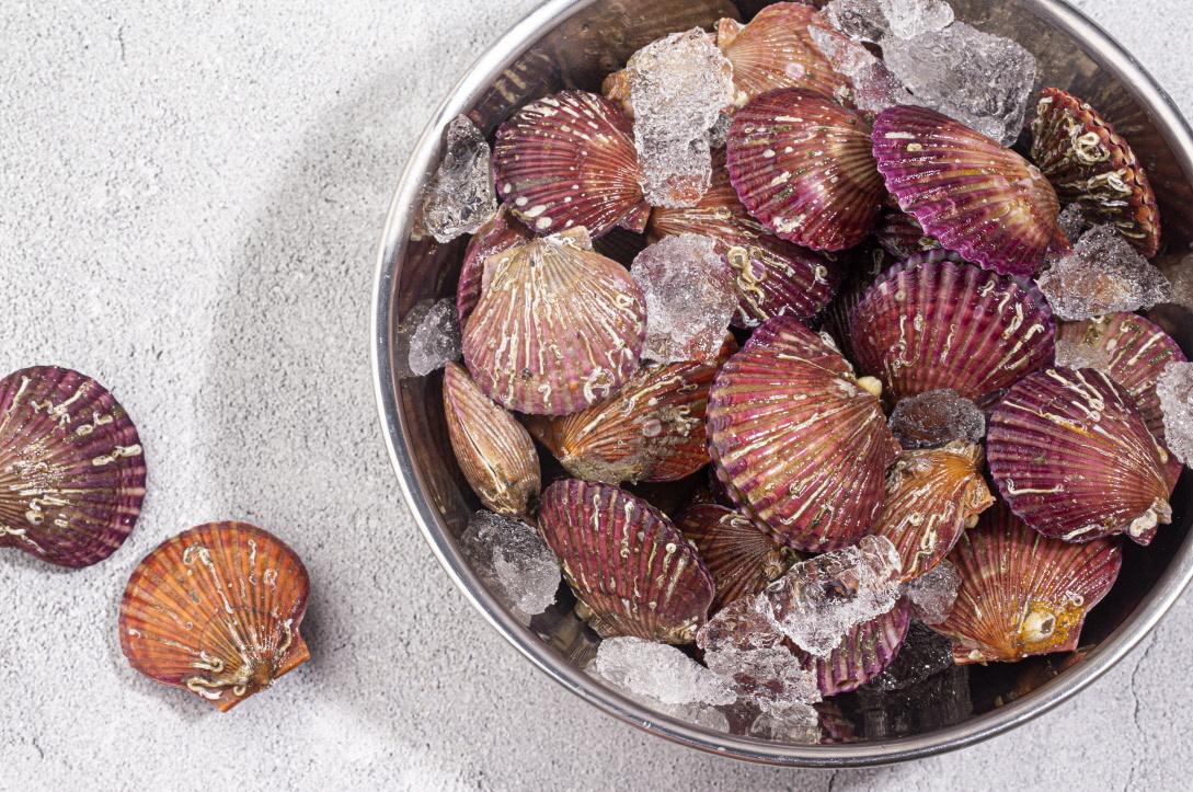 청정해역 고흥 홍가리비 4kg