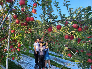 거창 자연농법 고랭지 부사사과 2.5kg(소과 9~10과/중과 13~14과)