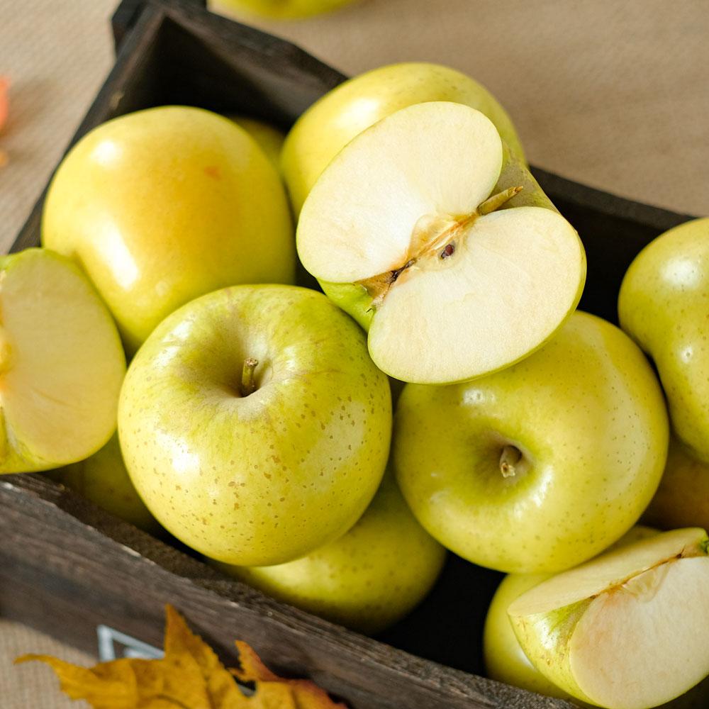 새콤달콤 시나노 황금사과 대과 3kg(7~10과)