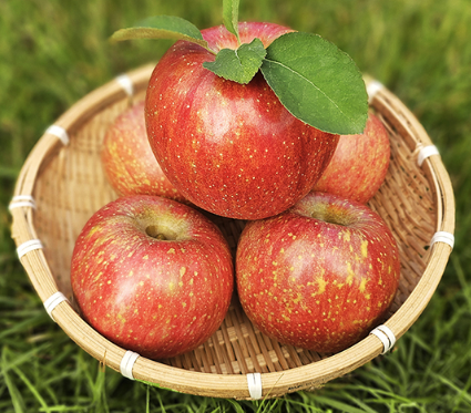 곡성 명품 사과 3kg