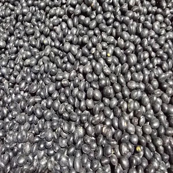 무농약 서리태 검은콩 2kg