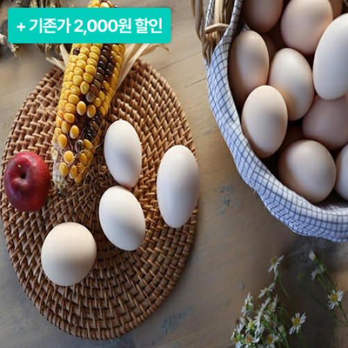 [설특선] (기존가32,000원) 백봉오골계 유정란,초란 30구