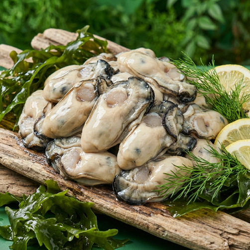 남해 바다 해녀가 따온 싱싱한 깐 굴 1.5kg