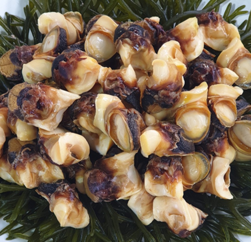 남해 바다 해녀가 삶아주는 자연산 뿔소라 3kg(25~27마리 내외)