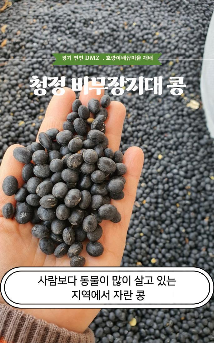 연천 DMZ 검은콩 서리태 2.3kg