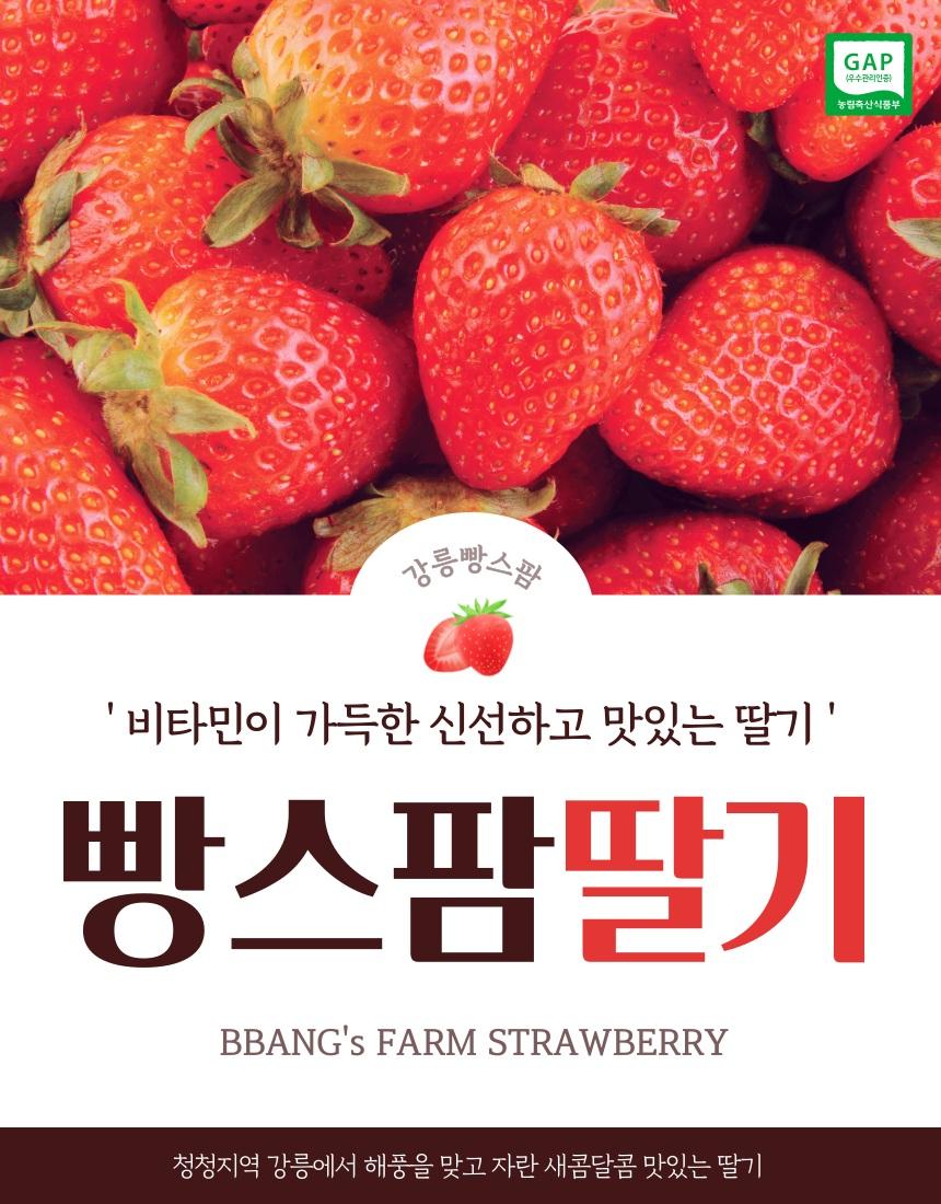 강릉 설향 딸기(24, 30, 35구 중 랜덤발송)