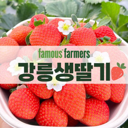 연곡 페이머스파머스 딸기 800g