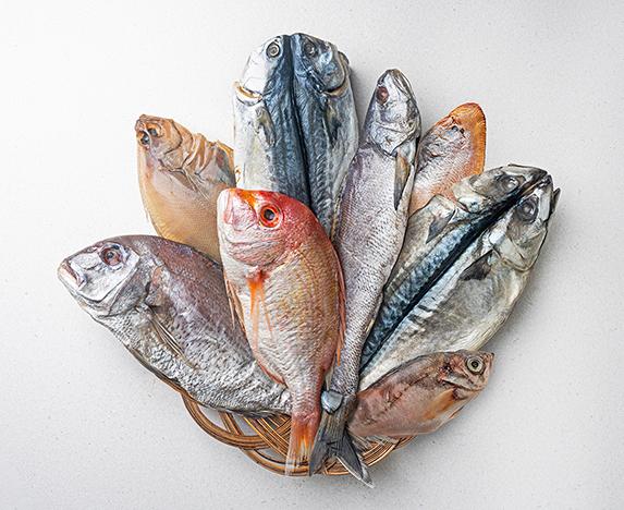 남해 반건조 생선 1.04kg(민어 250g+참돔 250g+서대 180g*3미)