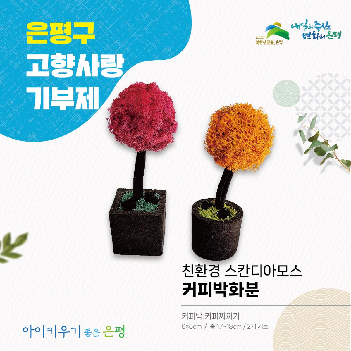 친환경 스카디아모스 커피박 화분 2개 세트