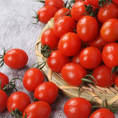 gap인증 고흥 방울토마토 3kg