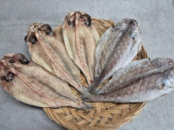 현대건어물 반건조민어 5마리