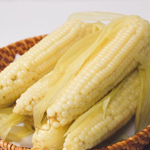 무주 대학 찰옥수수 18개(3개*6팩)