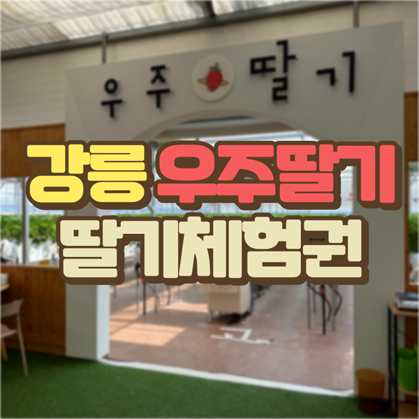 우주딸기 딸기체험 2인권