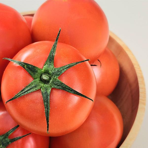 gap인증 고흥 완숙 토마토 6kg(3kg*2박스)