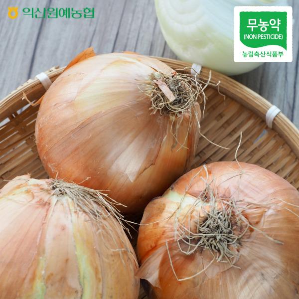 익산원예농협 친환경 무농약 양파 10kg