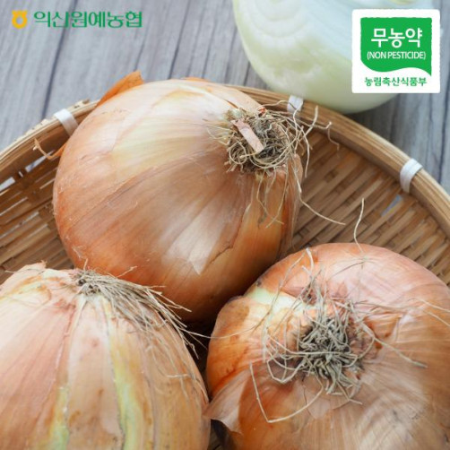 익산원예농협 친환경 무농약 양파 10kg