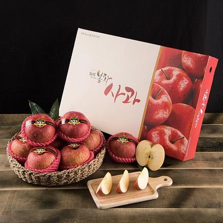 봉화! 햇살찬 고랭지 산사과 2.5kg(10과)