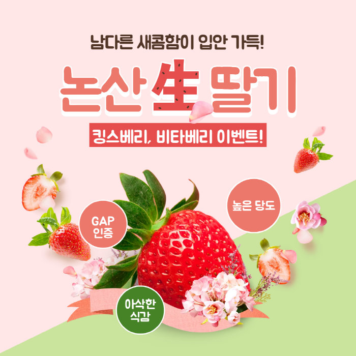[설특선] 논산 딸기 비타베리 800g 