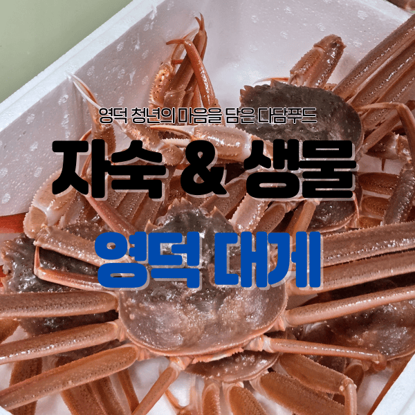 영덕대게 1kg(활, 자숙 택1)