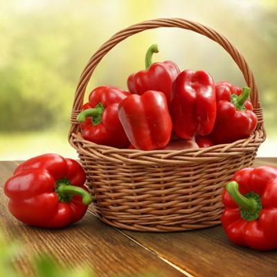 국내산 홍피망 특 1kg