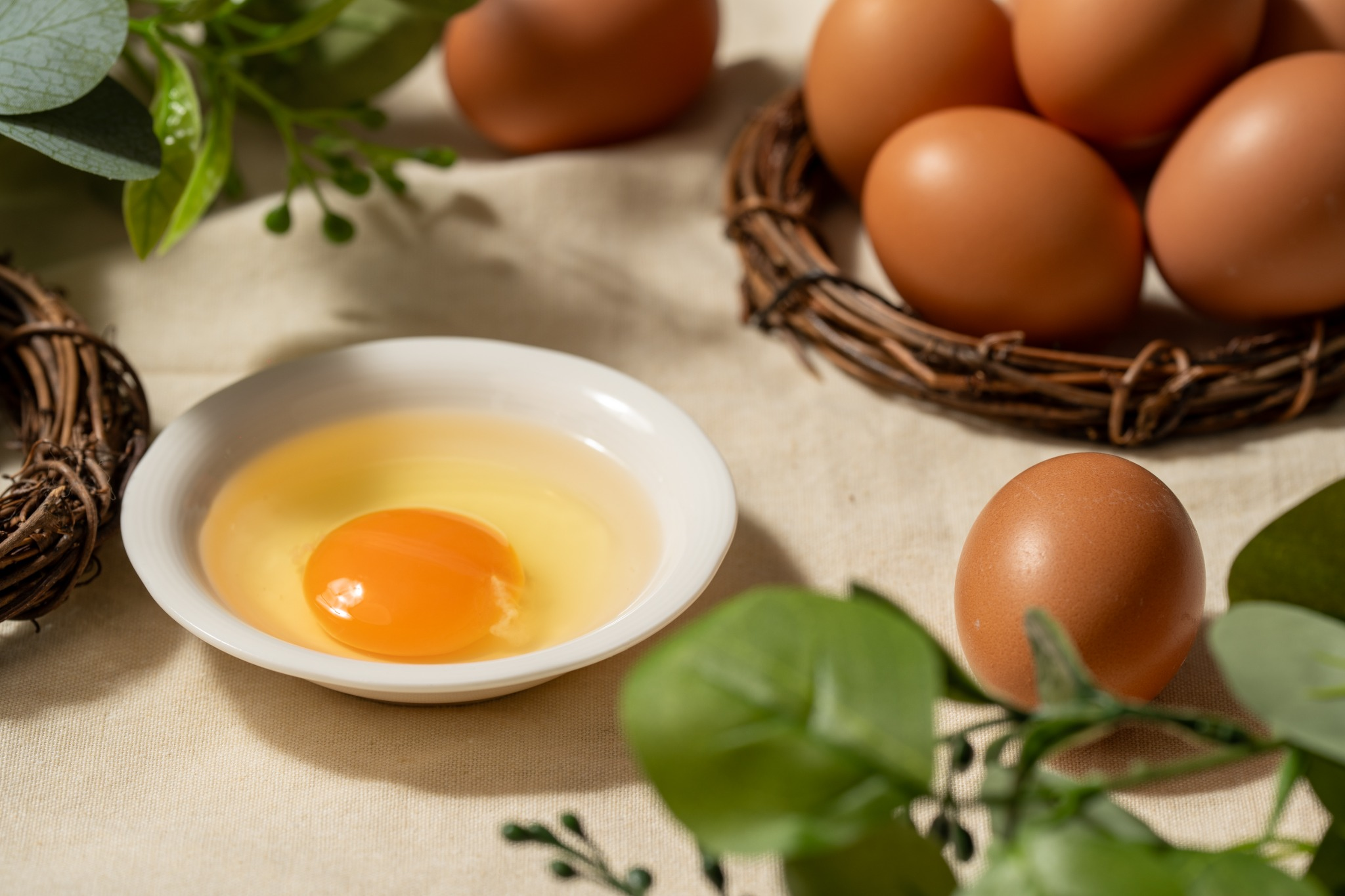 HACCP 동물복지 유정란 60알(30알*2판)